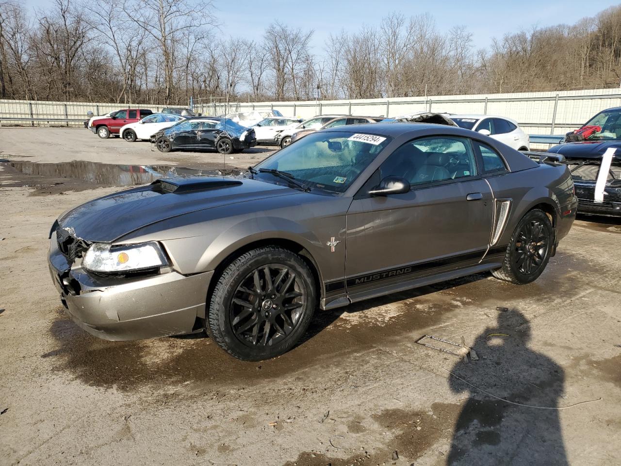 FORD MUSTANG 2002 1fafp40422f146020