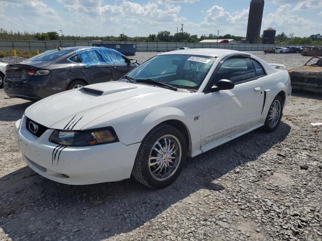 FORD MUSTANG GT 2001 1fafp42x41f113249