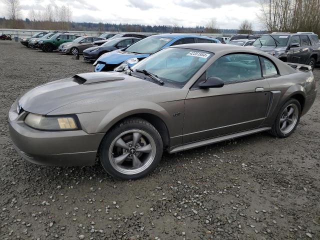 FORD MUSTANG 2001 1fafp42x41f117799