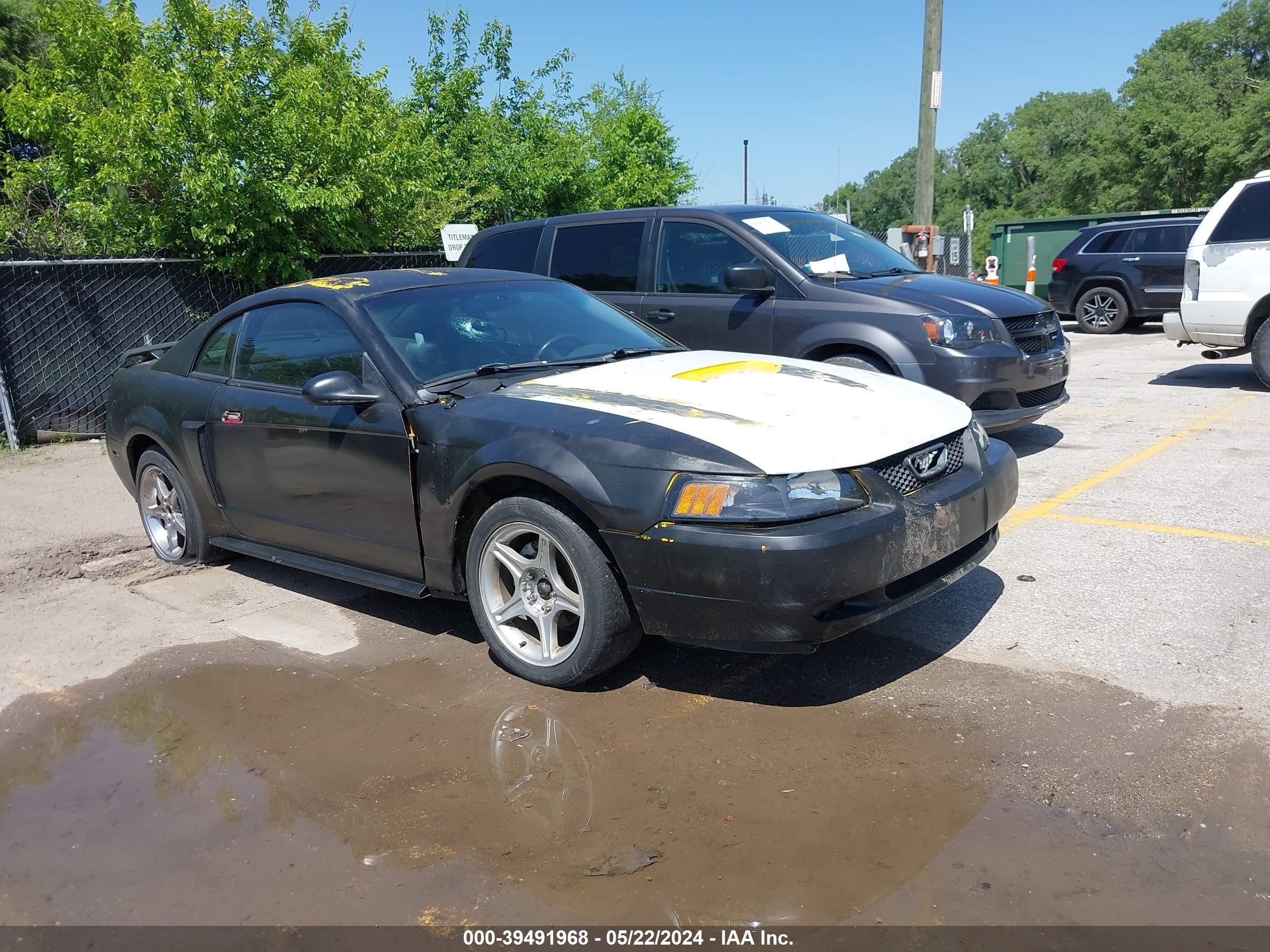 FORD MUSTANG 2004 1fafp42x84f101965