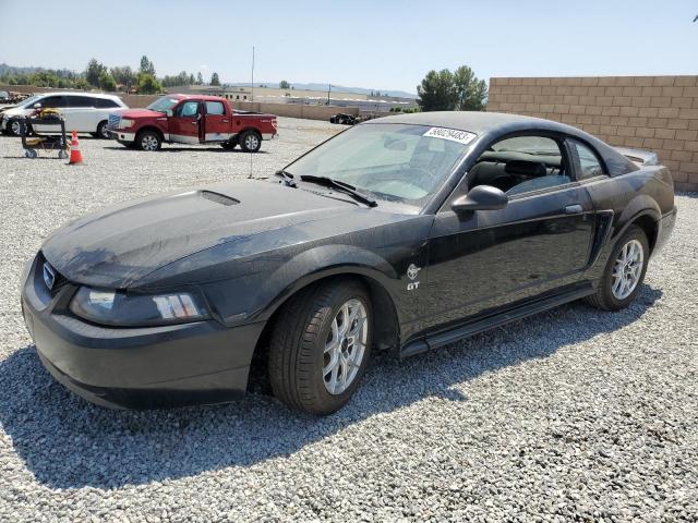 FORD MUSTANG 1999 1fafp42xxxf152842