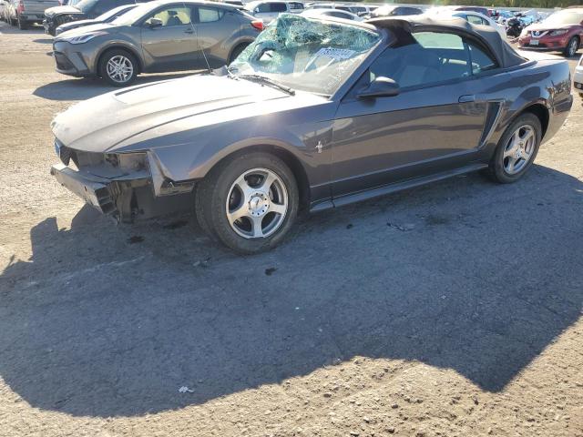 FORD MUSTANG 2003 1fafp44403f442519