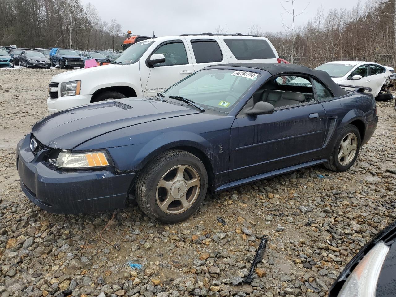 FORD MUSTANG 2001 1fafp44411f198103