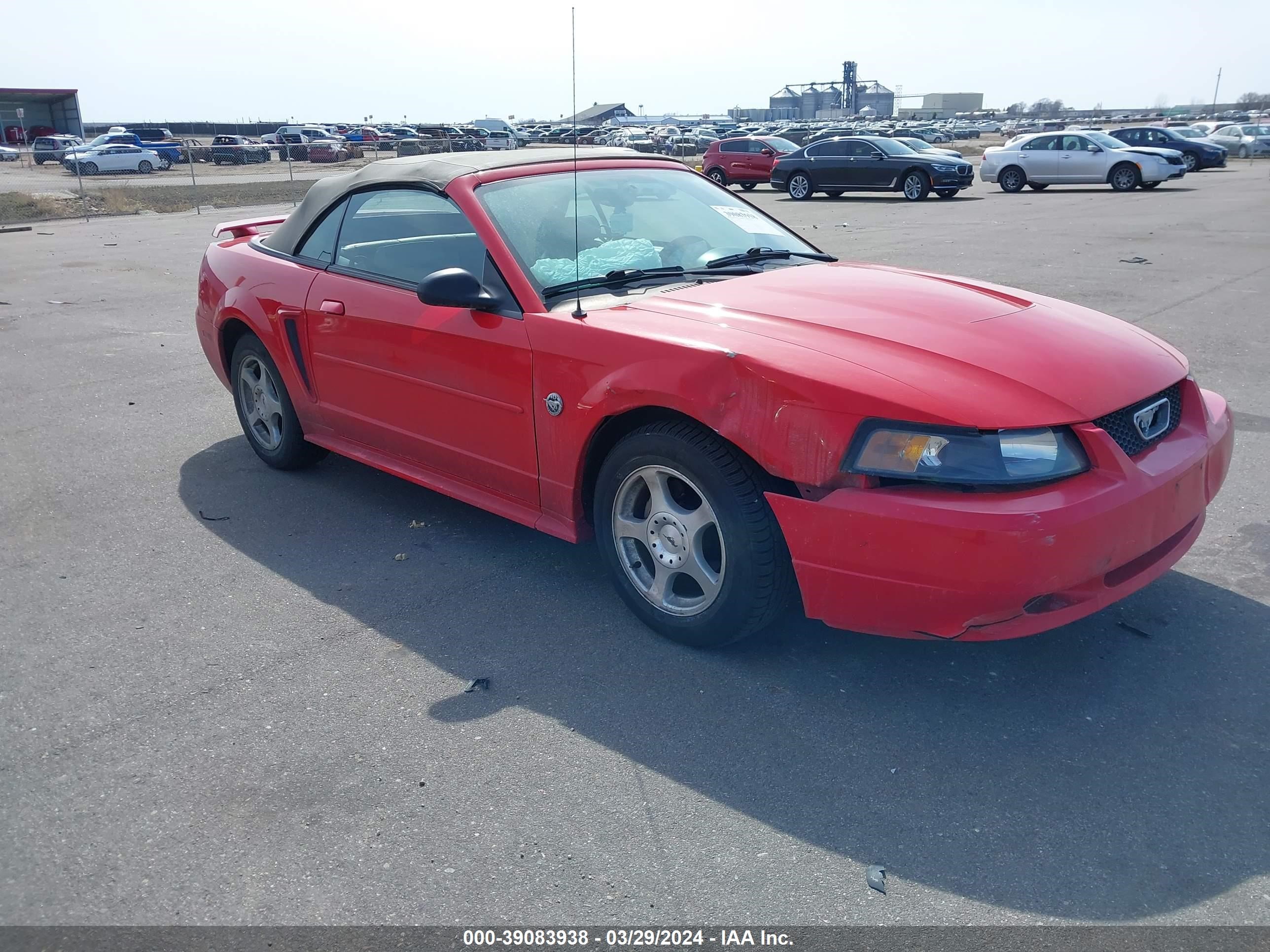 FORD MUSTANG 2004 1fafp44434f123231