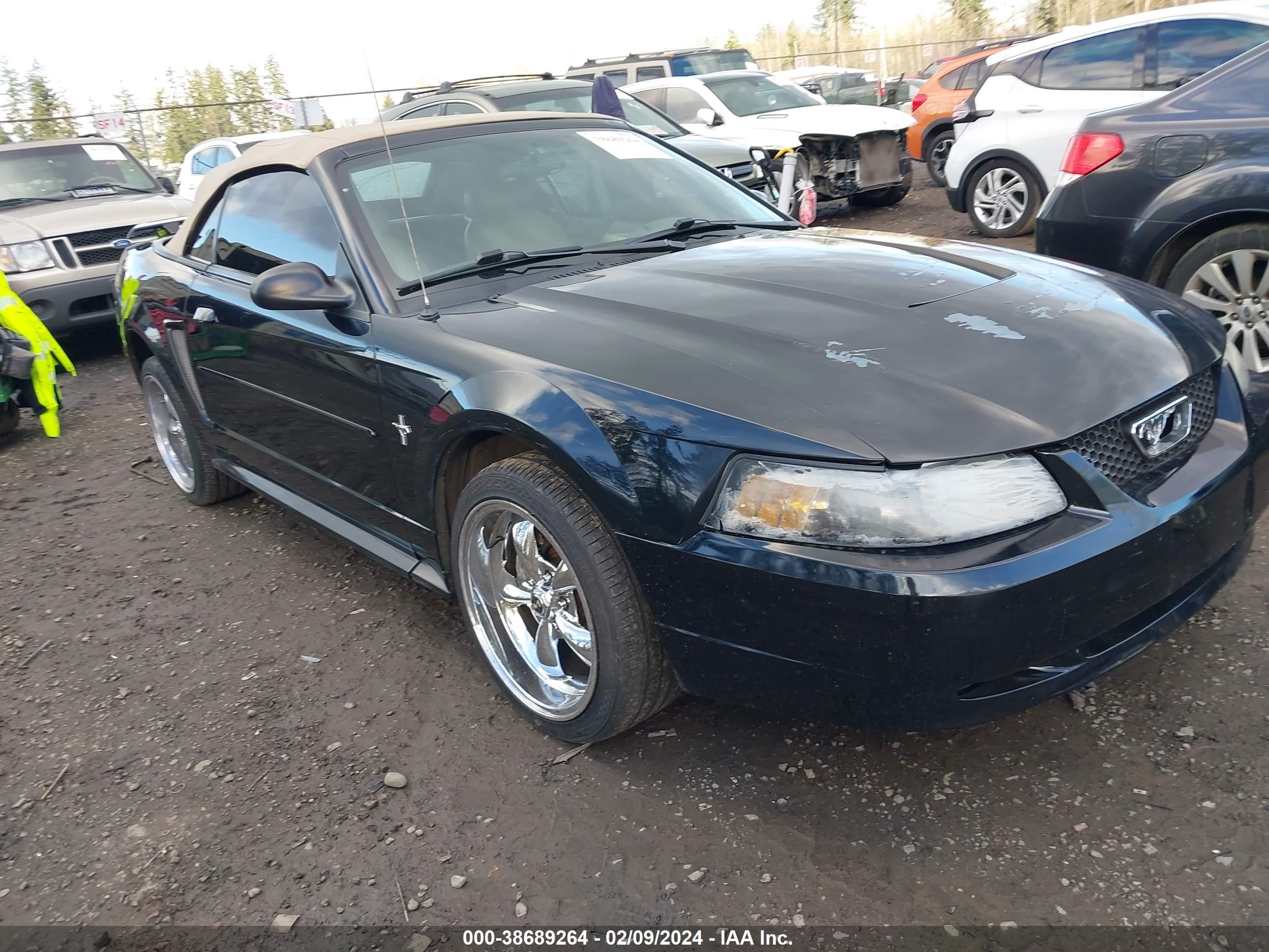 FORD MUSTANG 2003 1fafp44443f391459