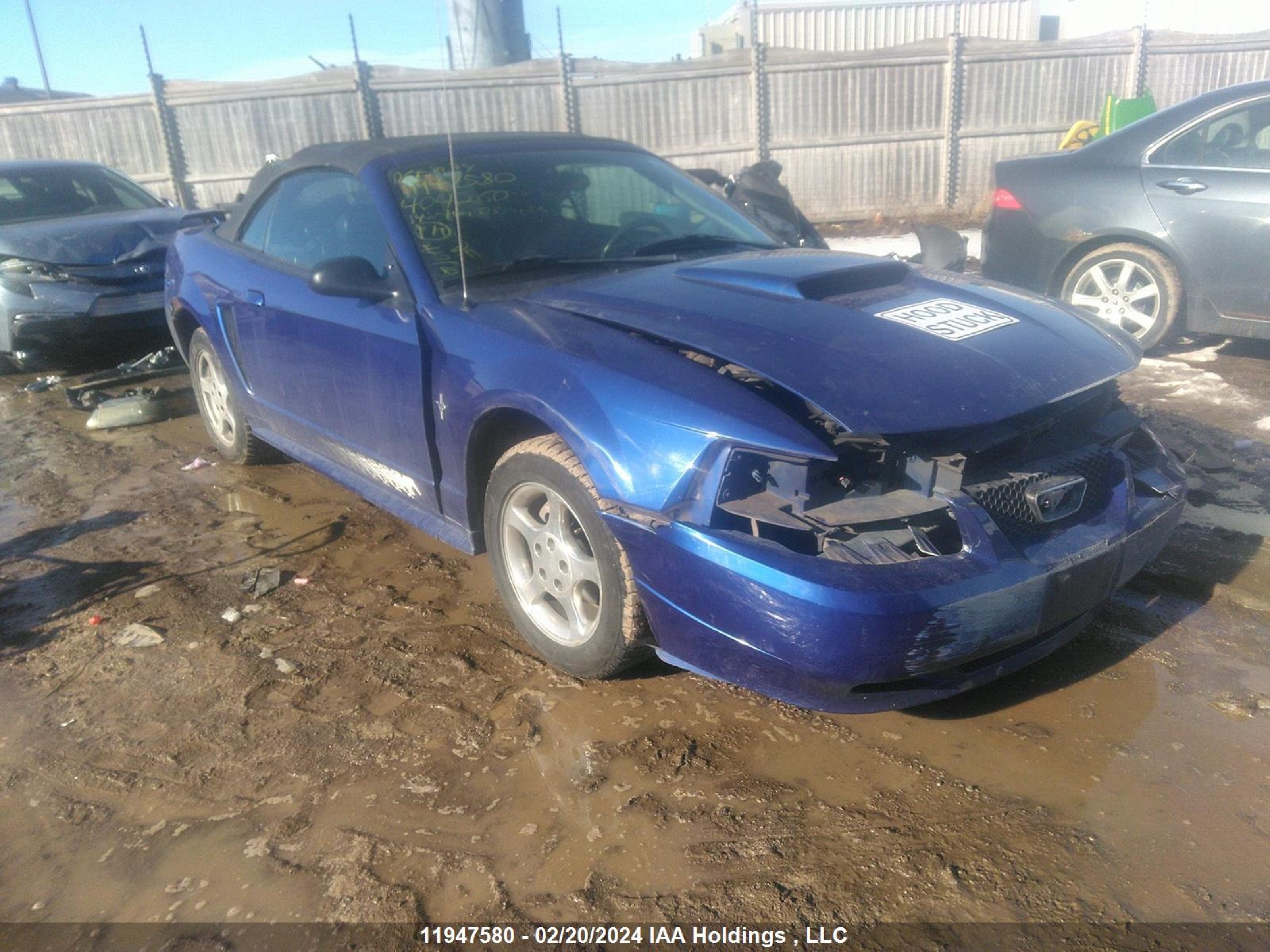 FORD MUSTANG 2003 1fafp44443f404260