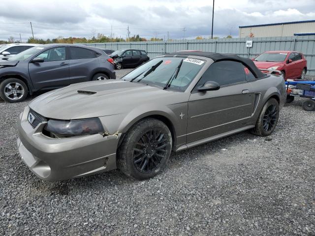 FORD MUSTANG 2002 1fafp44462f193920