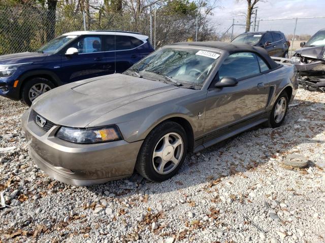 FORD MUSTANG 2001 1fafp44481f231842