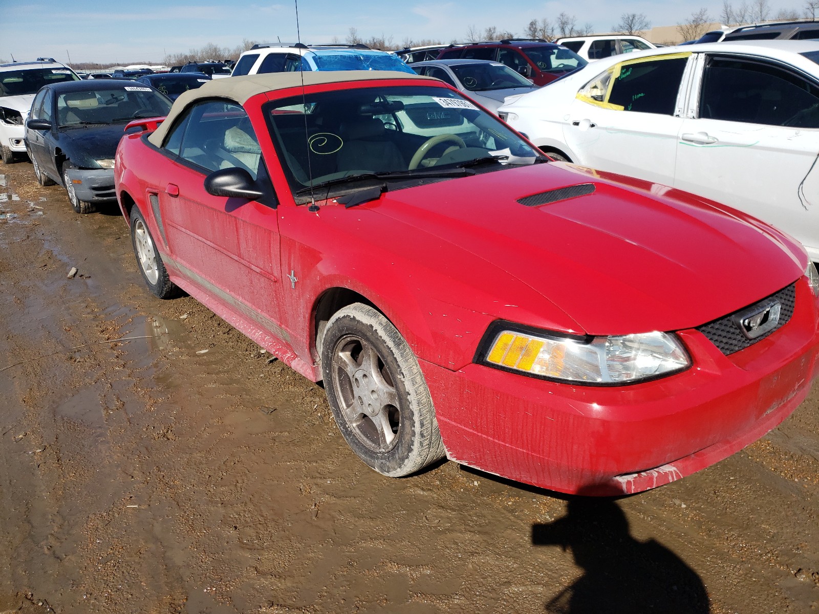 FORD MUSTANG 2002 1fafp44492f218891