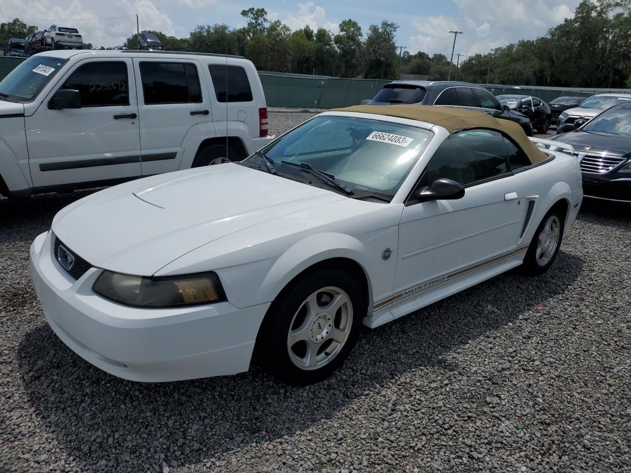 FORD MUSTANG 2004 1fafp44624f226805