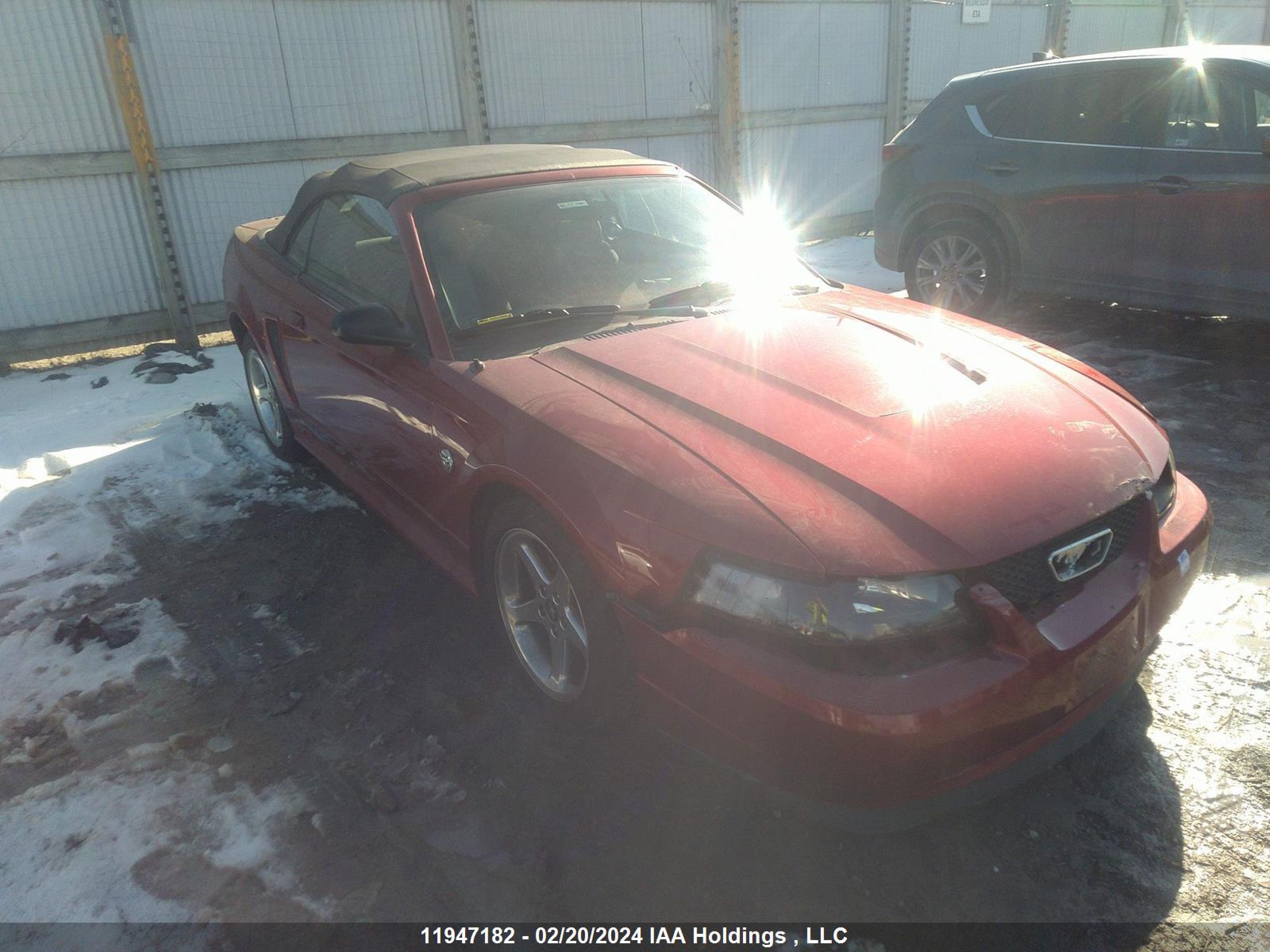 FORD MUSTANG 2004 1fafp44634f218132