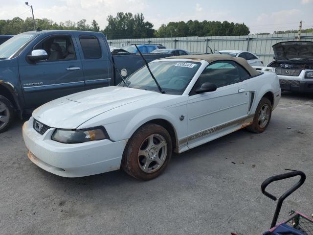 FORD MUSTANG 2004 1fafp44684f178324