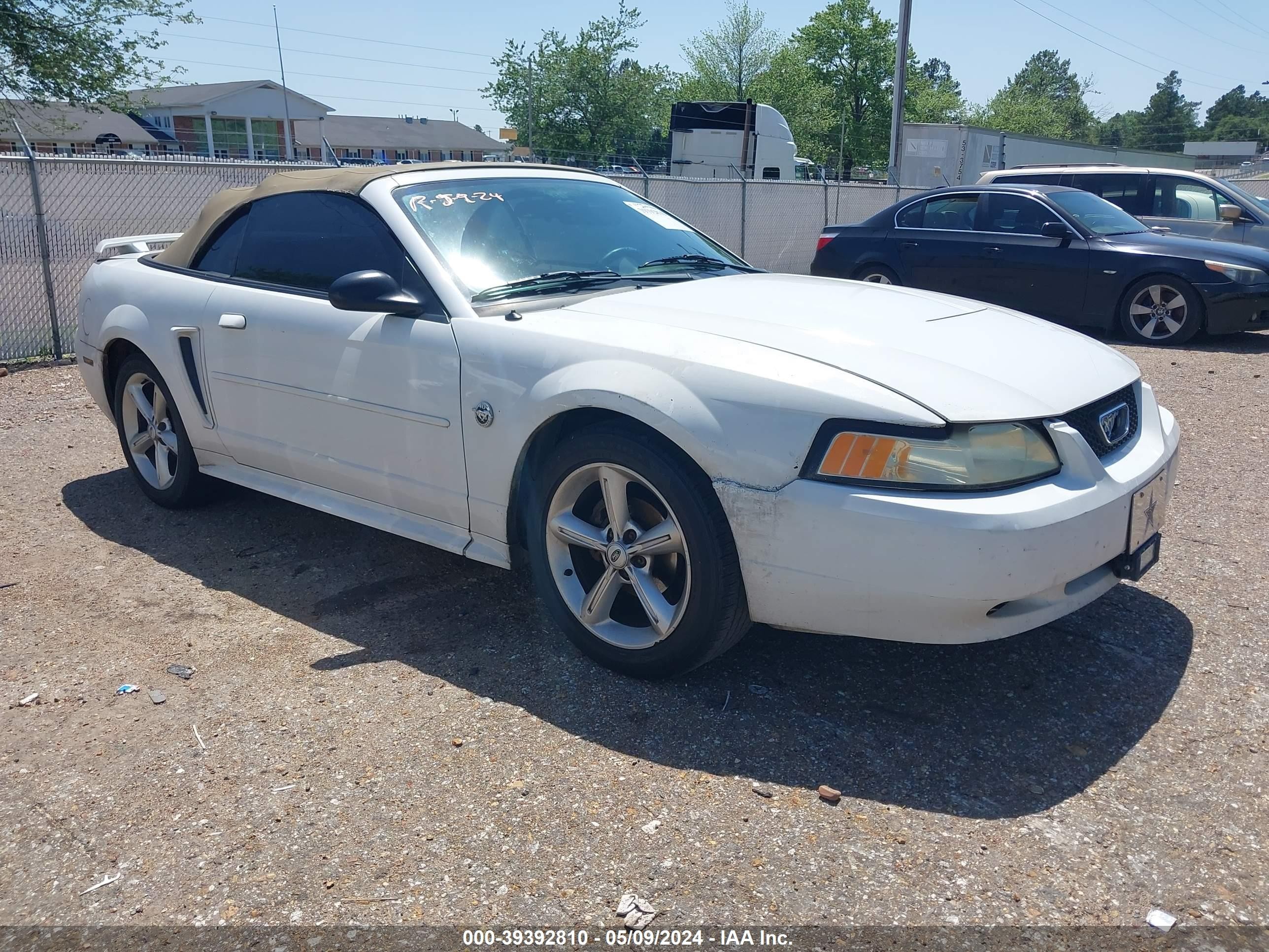 FORD MUSTANG 2004 1fafp44684f226856