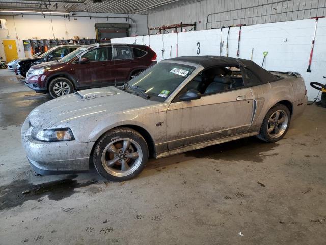 FORD MUSTANG 2002 1fafp45x32f159376