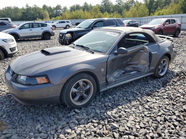 FORD MUSTANG GT 2004 1fafp45x94f109469