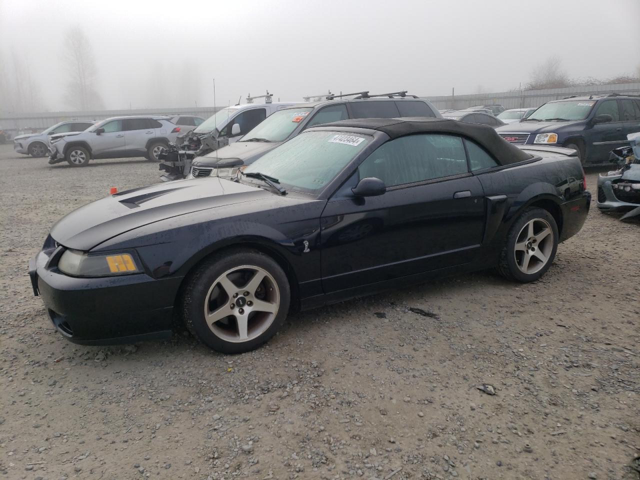 FORD MUSTANG 2003 1fafp49y43f406540