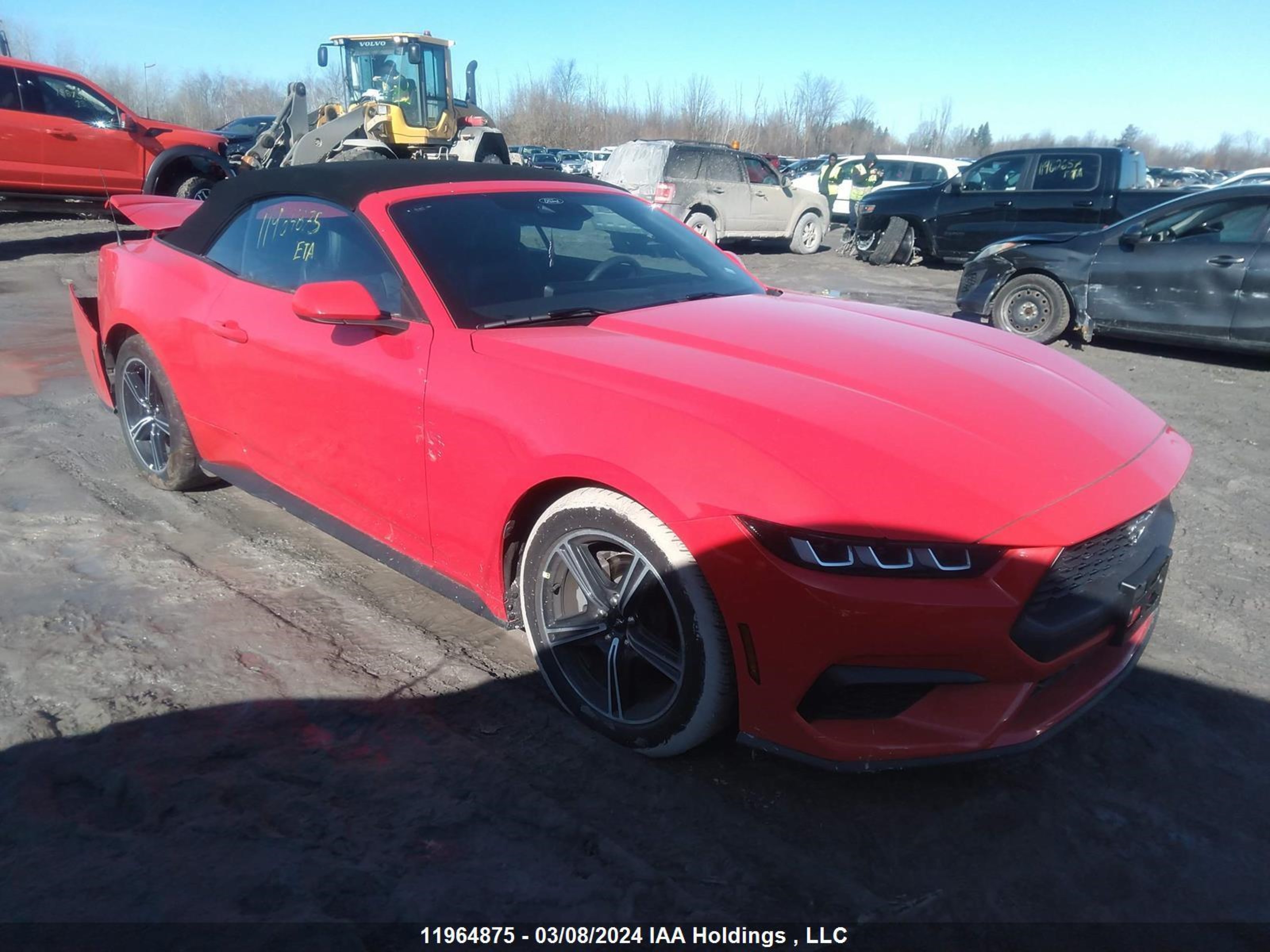 FORD MUSTANG 2024 1fagp8uhxr5126770