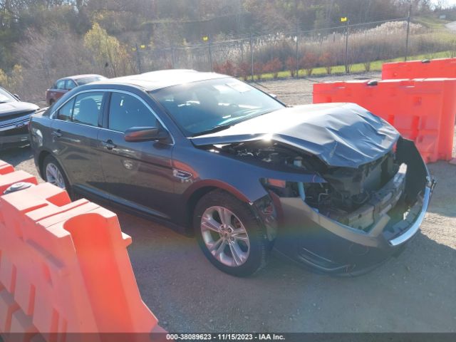 FORD TAURUS 2015 1fahp2e81fg169779