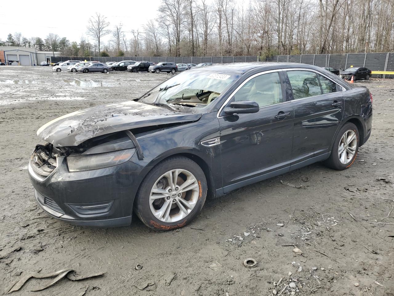 FORD TAURUS 2015 1fahp2e89fg206528