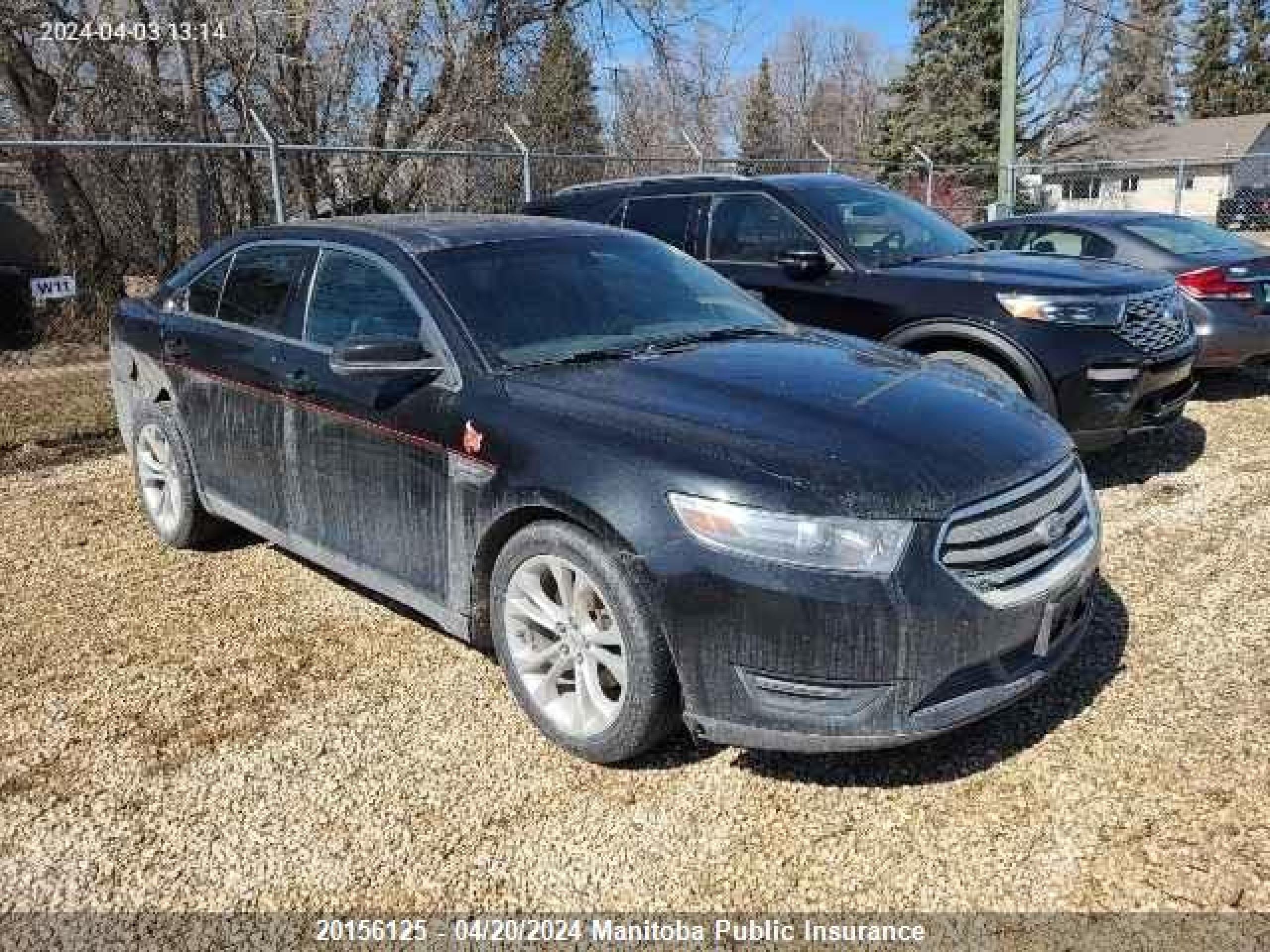 FORD TAURUS 2013 1fahp2h86dg115466