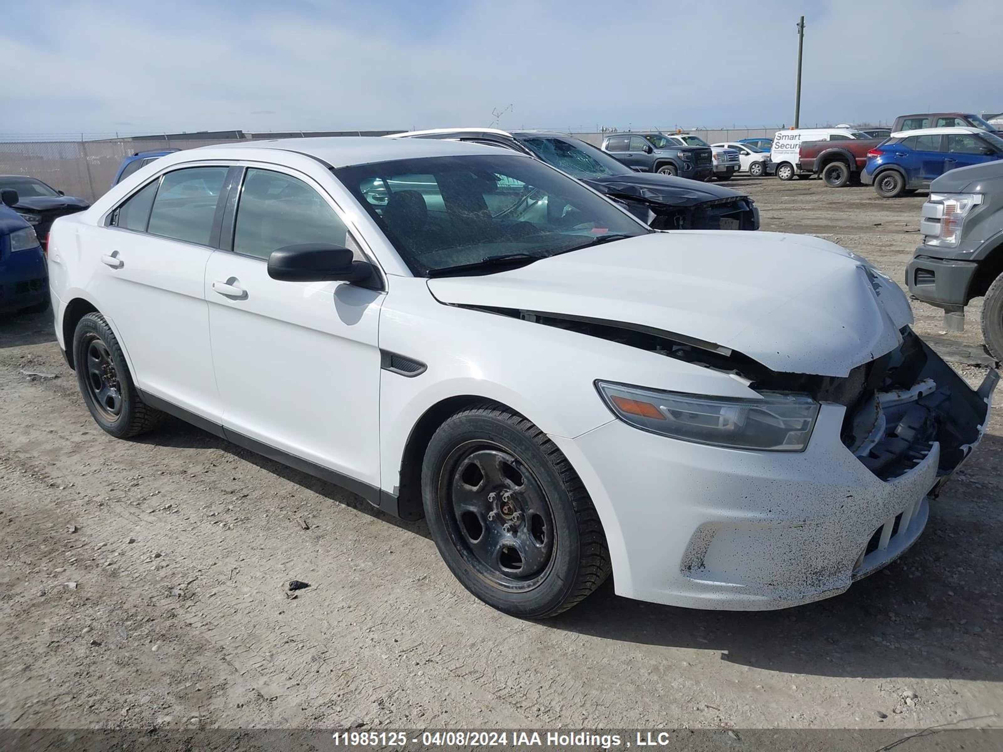 FORD TAURUS 2013 1fahp2m84dg113835