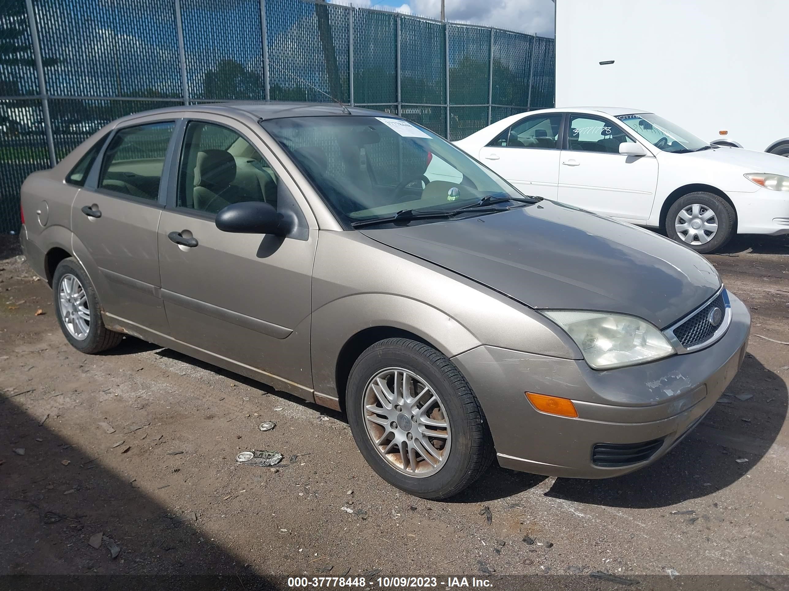 FORD FOCUS 2005 1fahp34n05w244585