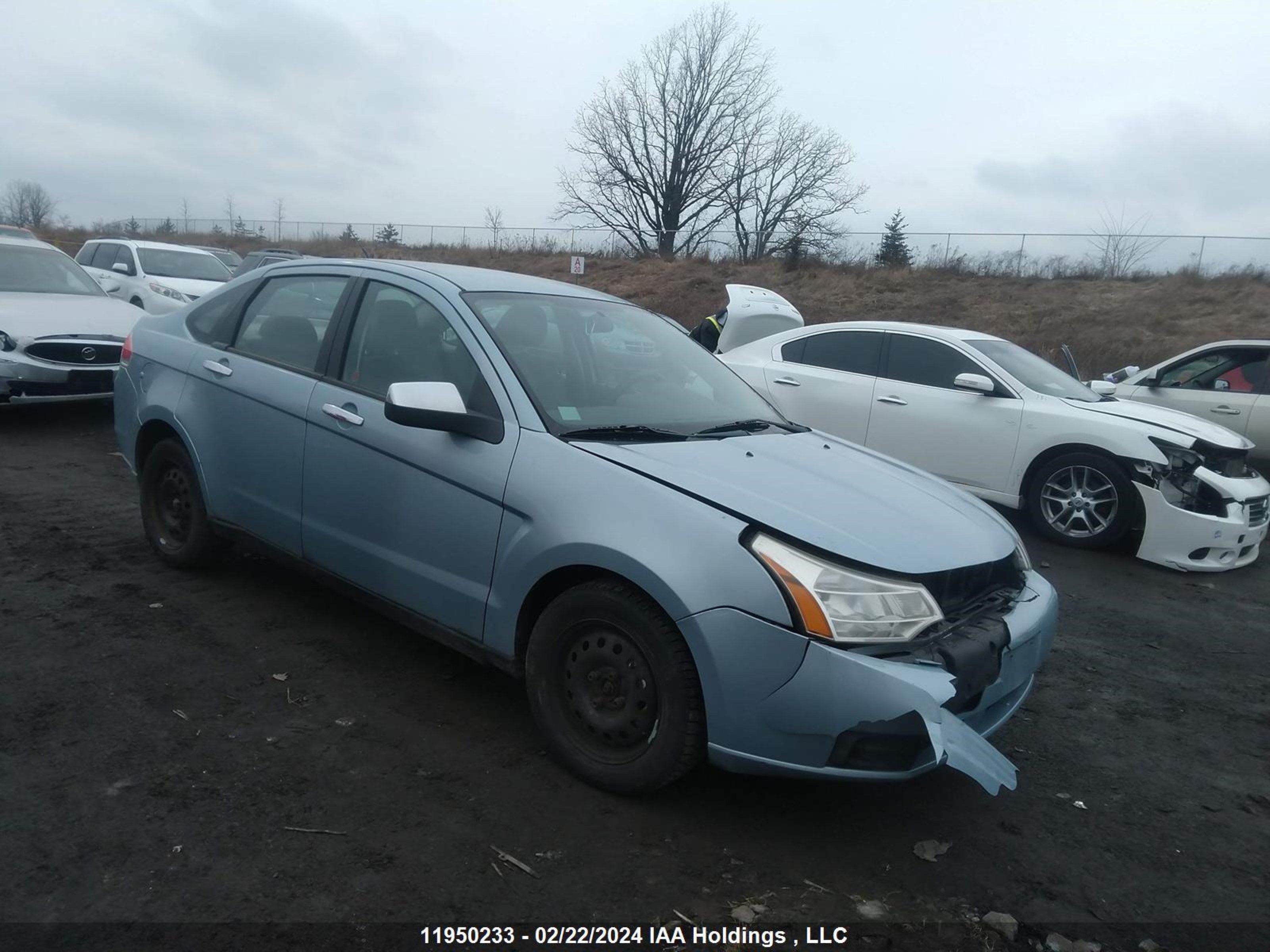 FORD FOCUS 2009 1fahp35n69w215385