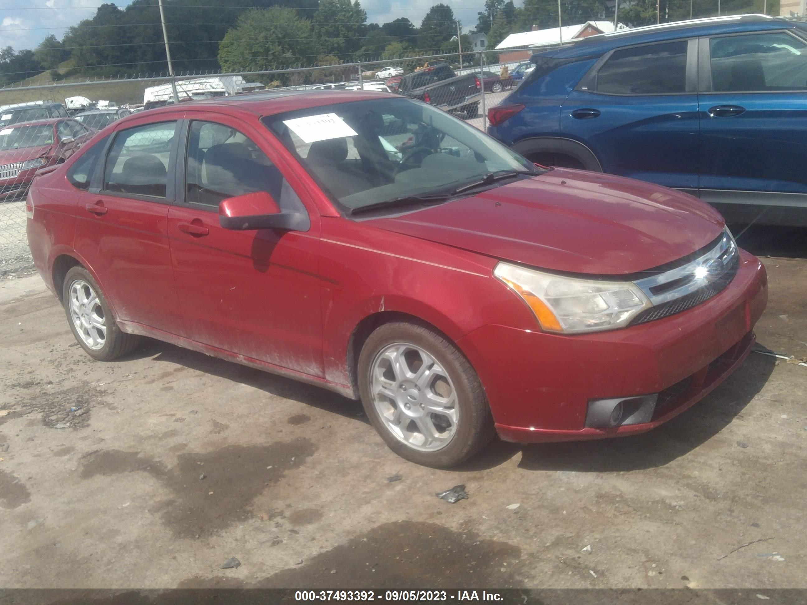 FORD FOCUS 2009 1fahp36n29w133216