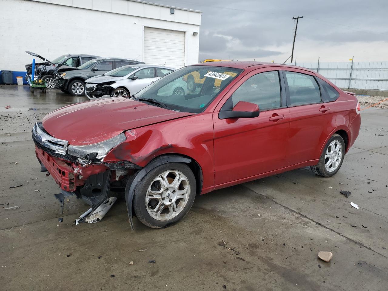 FORD FOCUS 2009 1fahp36n59w117835