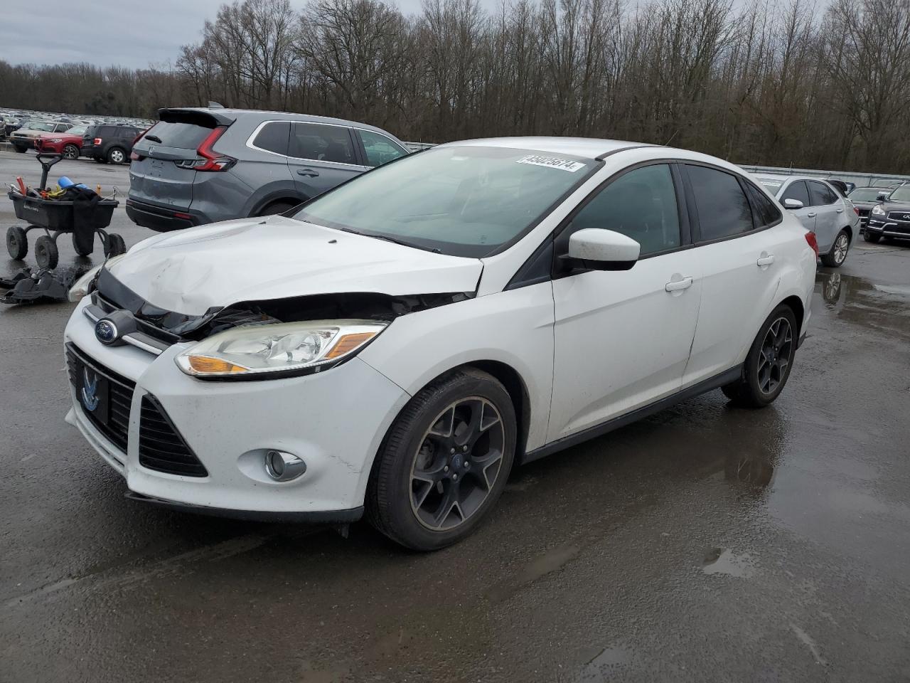 FORD FOCUS 2012 1fahp3f23cl304795