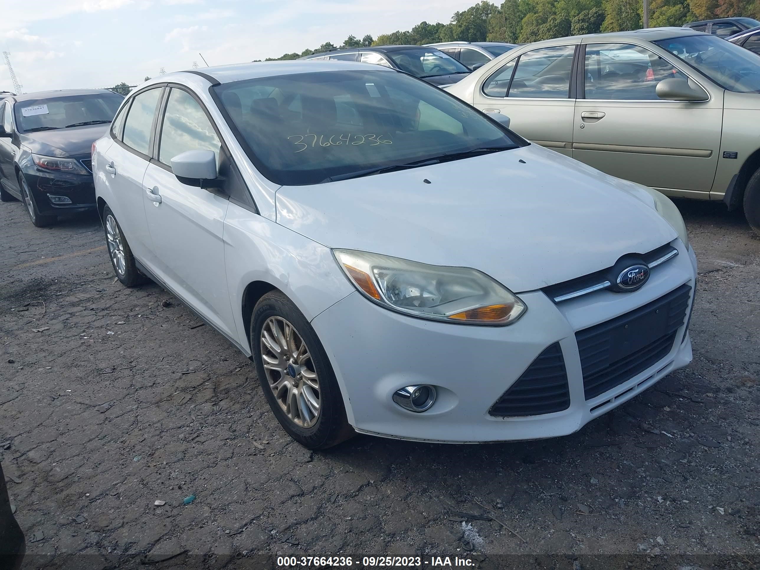 FORD FOCUS 2012 1fahp3f24cl379327