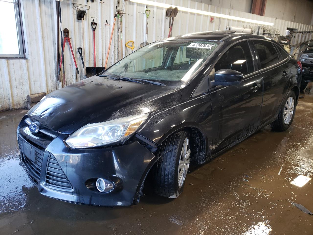 FORD FOCUS 2012 1fahp3f29cl151744