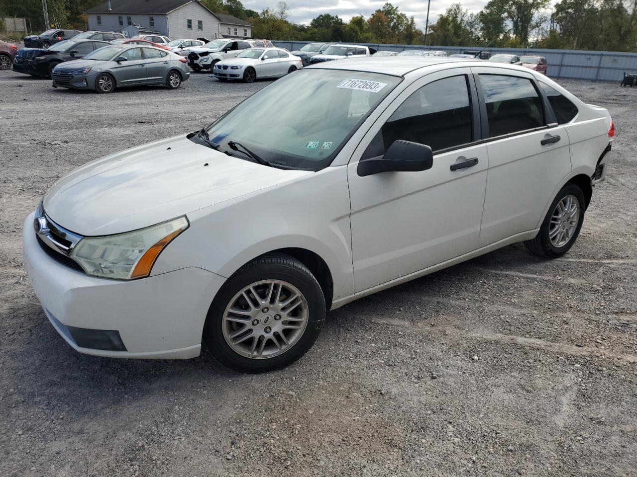 FORD FOCUS 2010 1fahp3fn6aw236384