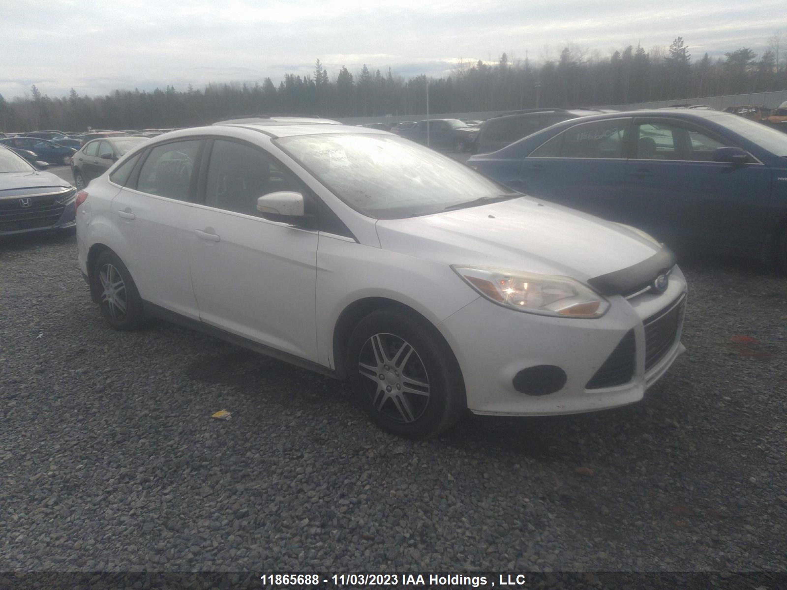 FORD FOCUS 2012 1fahp3h21cl218124