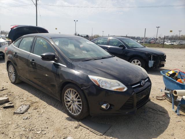 FORD FOCUS SEL 2012 1fahp3h21cl324766