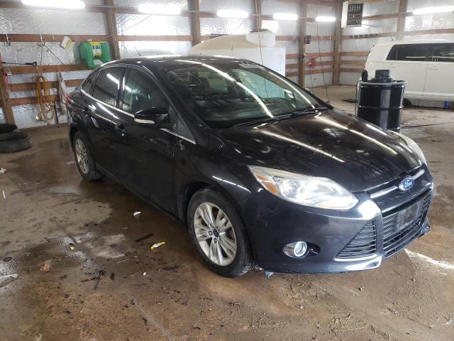 FORD FOCUS SEL 2012 1fahp3h23cl468660