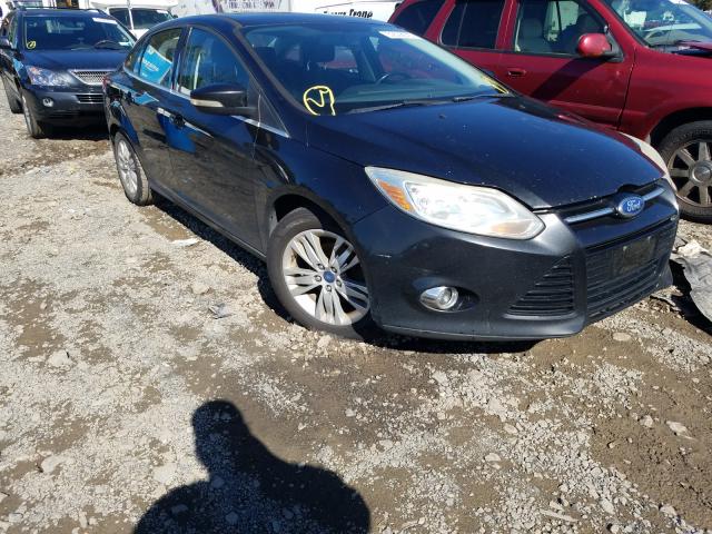 FORD FOCUS SEL 2012 1fahp3h29cl150008