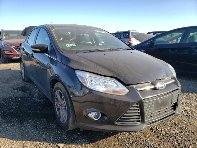 FORD FOCUS SEL 2012 1fahp3h29cl374170