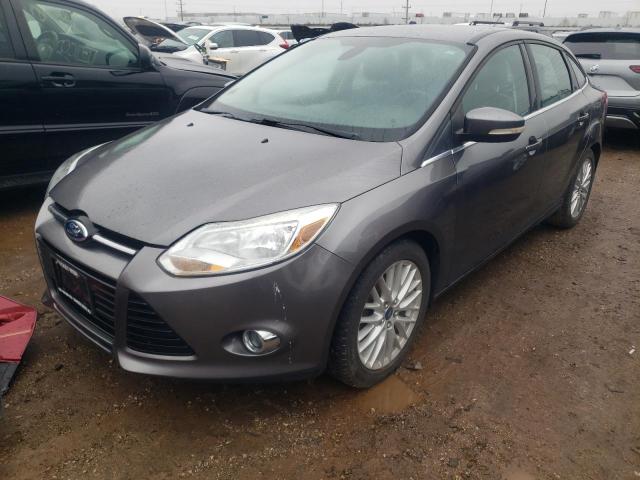 FORD FOCUS 2012 1fahp3h29cl446047