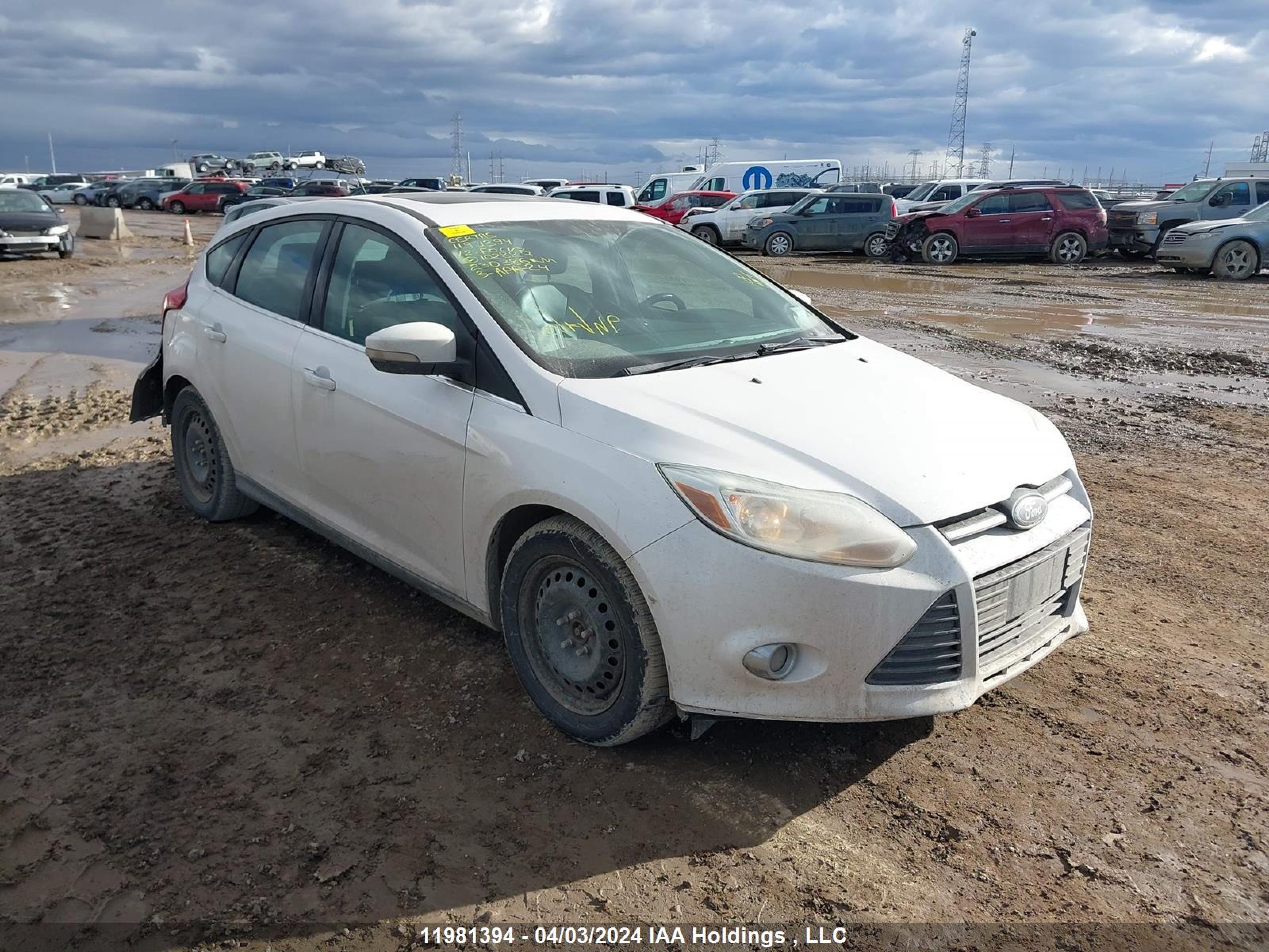 FORD FOCUS 2012 1fahp3m26cl102827