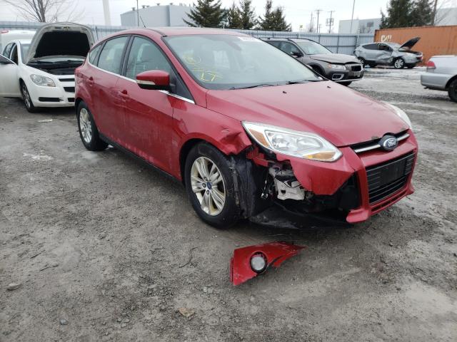 FORD FOCUS SEL 2012 1fahp3m29cl223268