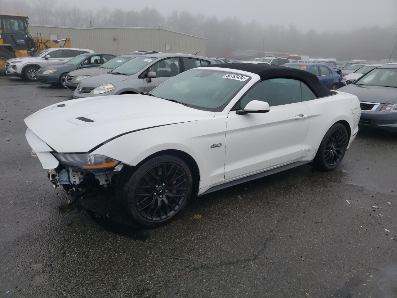 FORD MUSTANG 2019 1fatp8ff2k5128920