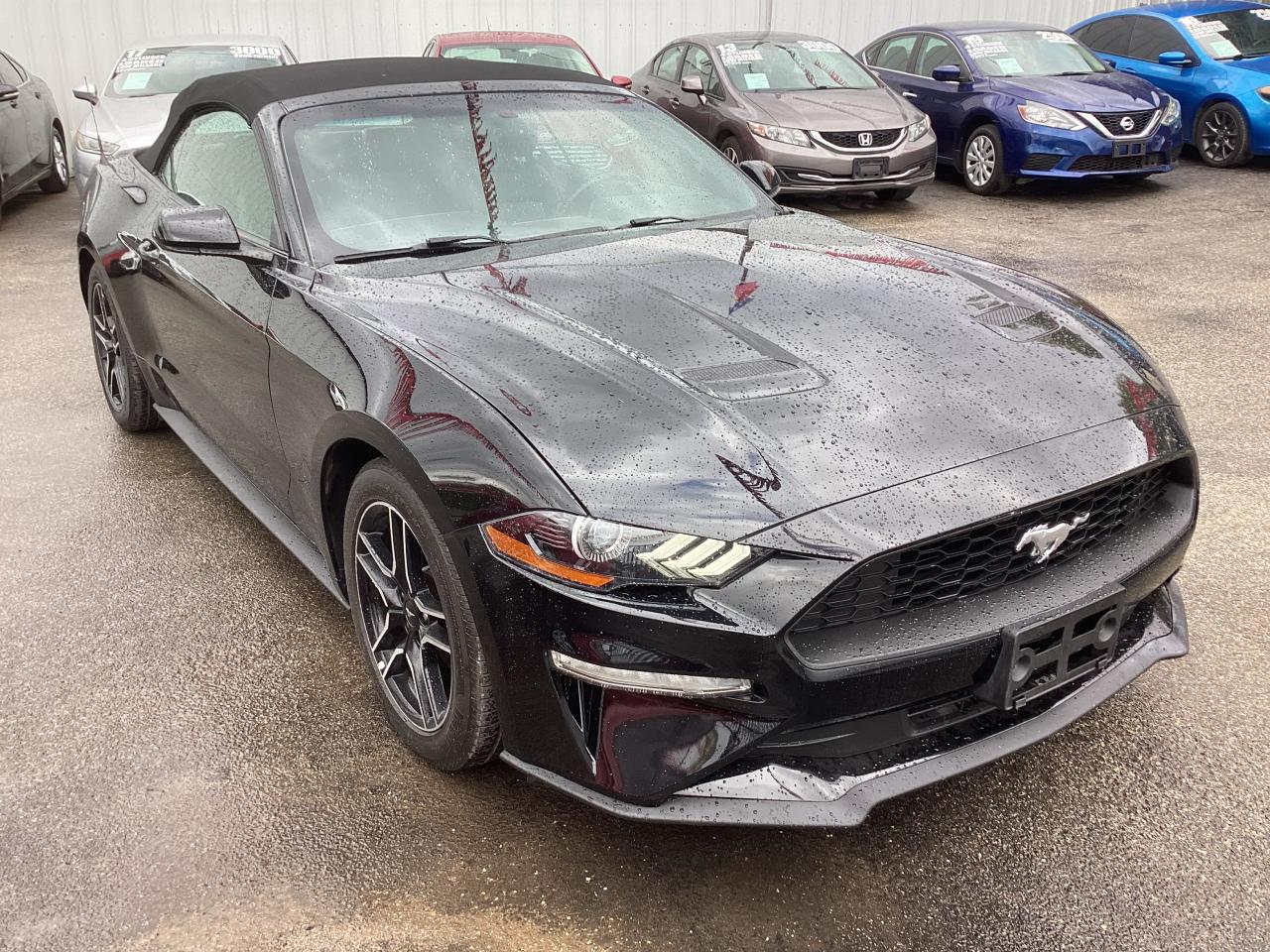 FORD MUSTANG 2018 1fatp8uh0j5167640