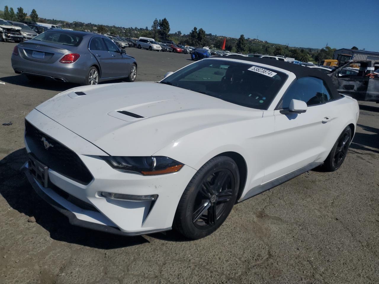 FORD MUSTANG 2019 1fatp8uh0k5171009