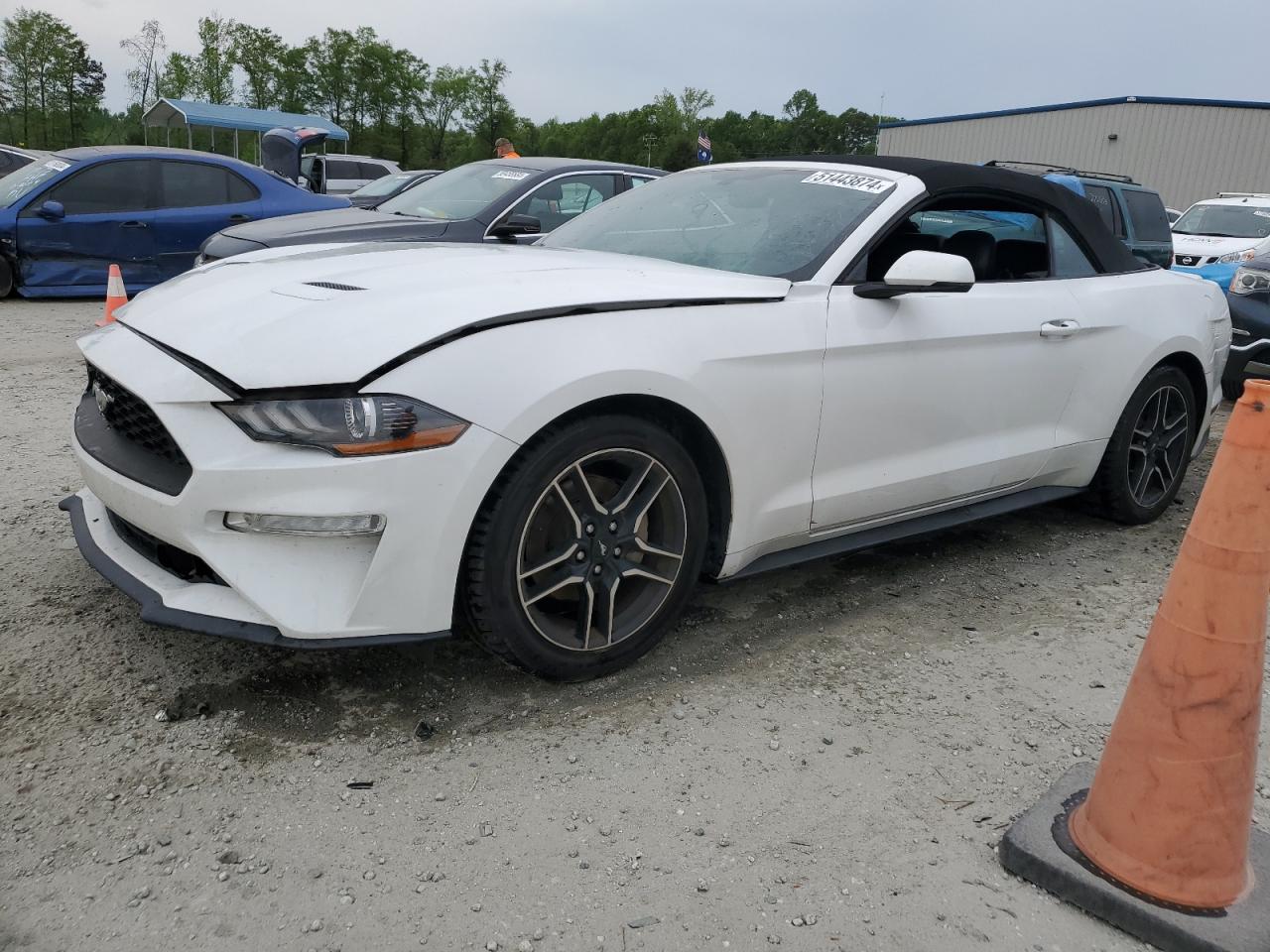 FORD MUSTANG 2019 1fatp8uh1k5150900