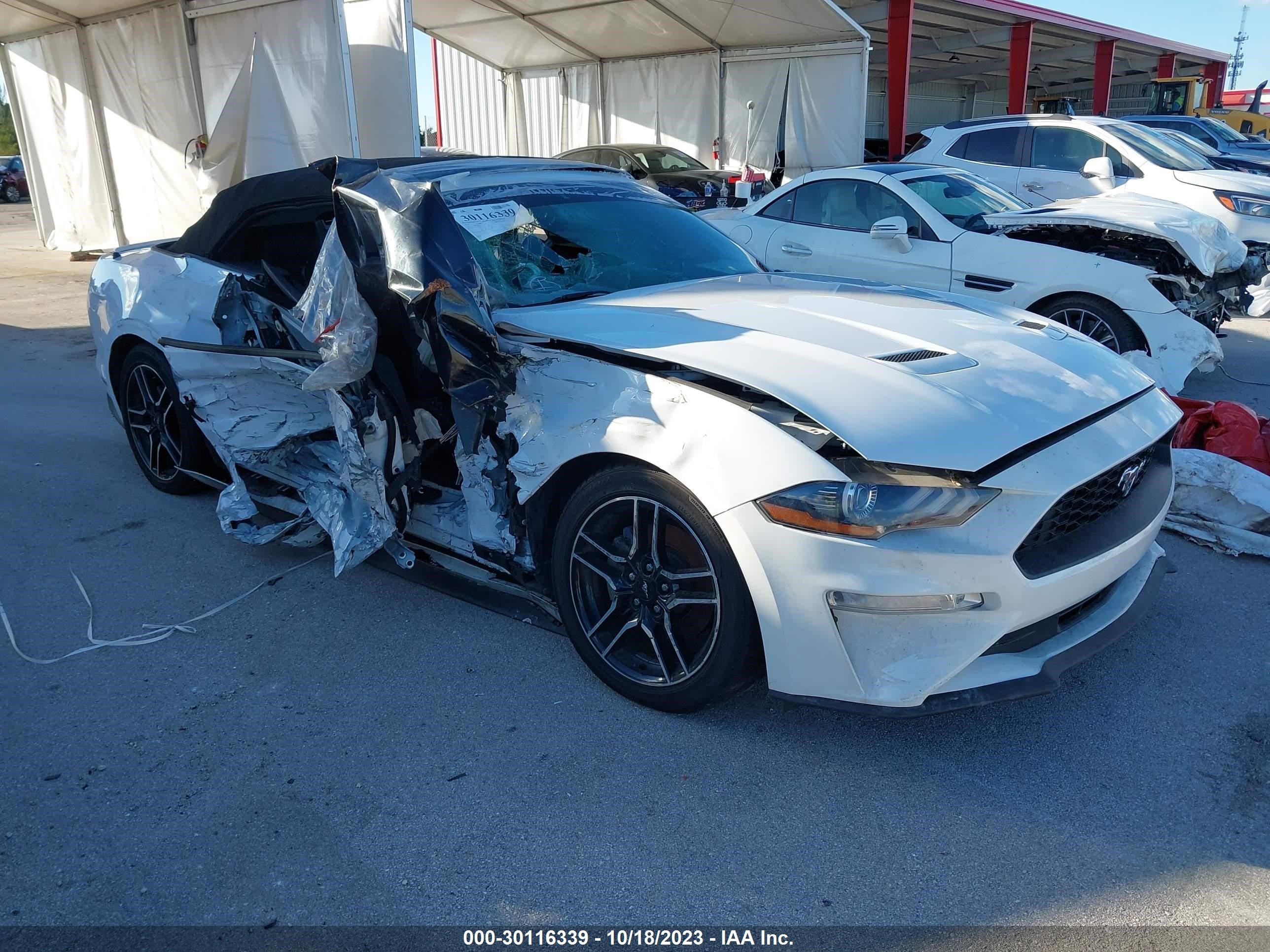 FORD MUSTANG 2019 1fatp8uh1k5153361