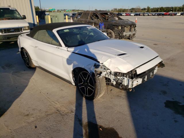 FORD MUSTANG 2019 1fatp8uh1k5161430