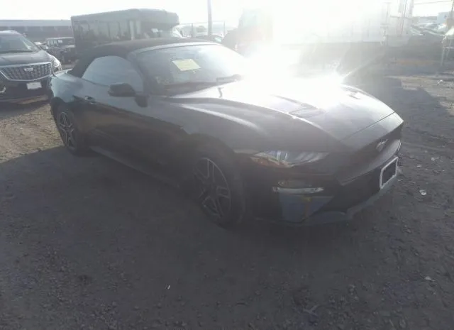 FORD MUSTANG 2019 1fatp8uh2k5163736