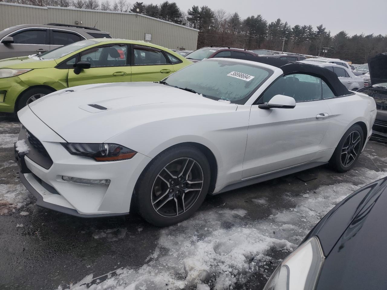 FORD MUSTANG 2019 1fatp8uh2k5170525