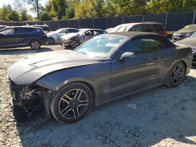 FORD MUSTANG 2019 1fatp8uh4k5133265